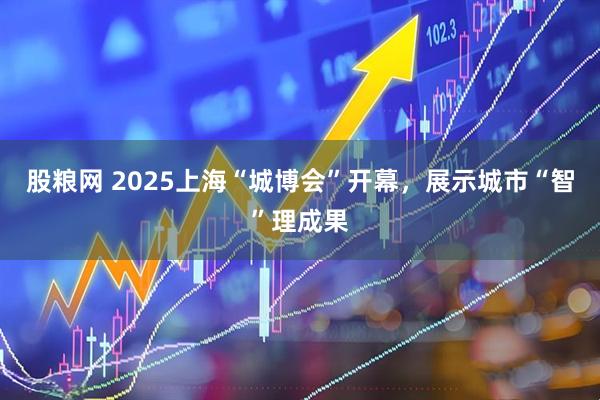 股粮网 2025上海“城博会”开幕，展示城市“智”理成果