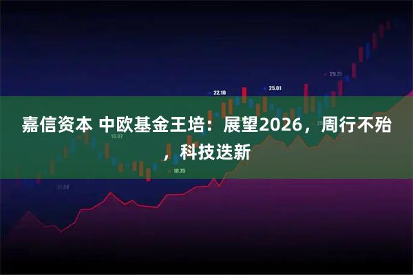 嘉信资本 中欧基金王培：展望2026，周行不殆，科技迭新