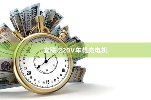 安联 220V车载充电机