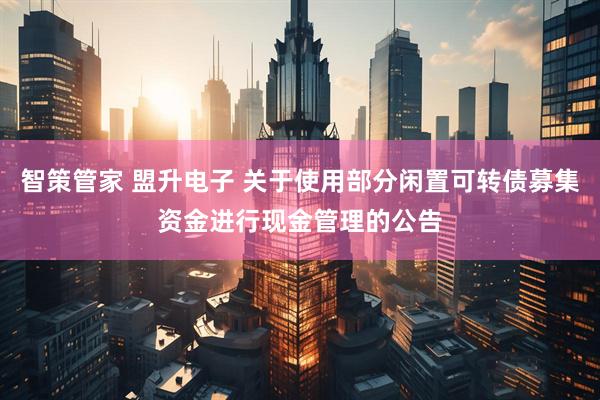 智策管家 盟升电子 关于使用部分闲置可转债募集资金进行现金管理的公告